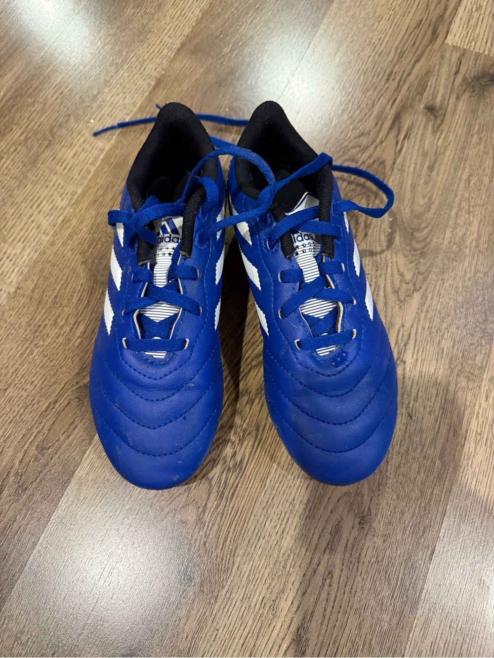adidas Kids Royal Blue and White Soccer Shoes